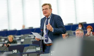Johan Van Overtveldt, Europees parlement